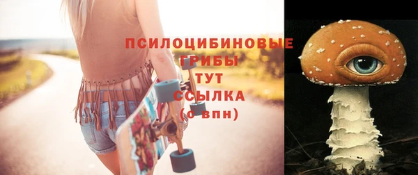 PSILOCYBIN Алексеевка